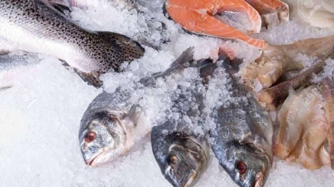 2 Cach Ra Dong Ca Nhanh Chong Ma Van Giu Nguyen Duoc Do Tuoi Ngon Cua Ca 190312