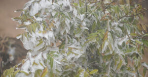 2025 Mien Bac Co The Xuat Hien Suong Muoi Nam Trung Bo Con Mua 3827