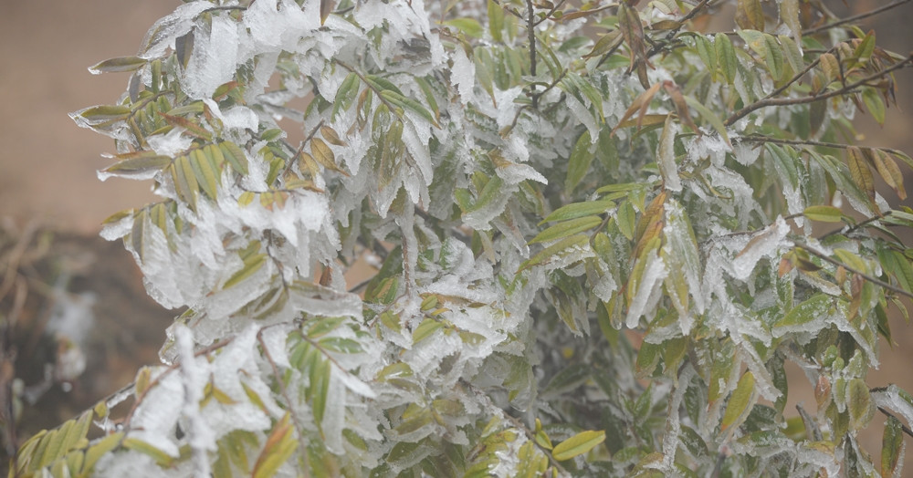 2025 Mien Bac Co The Xuat Hien Suong Muoi Nam Trung Bo Con Mua 3827