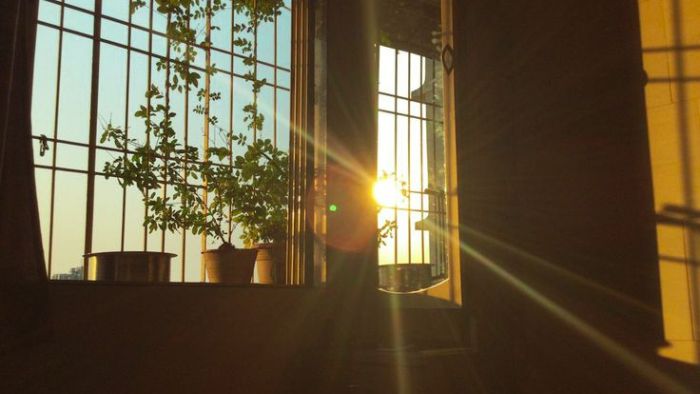 23715647738F1B31789F10D9C7551Edb 16