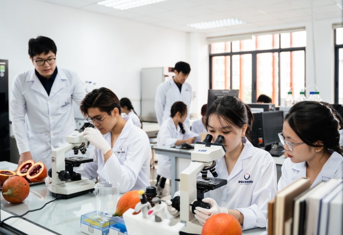 29Ea0202F0F81Ba510B5272F71Ee977D