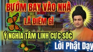 3 dau hieu vao buoi toi chung to nha ban sap may man lon ve tien tai cong danh 082708