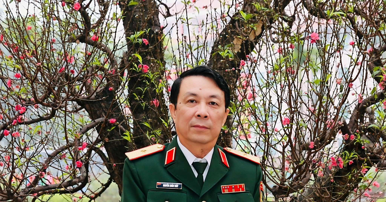 3 nhac si mang ham thieu tuong nguoi dang lam pho cuc truong nguoi la chu tich 562
