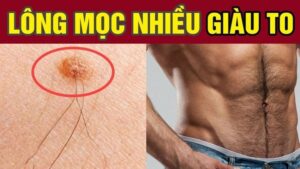 3 vi tri cang nhieu long cang giau co 091103