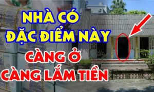 3 Vi Tri Trong Nha Cang Day Cang Nhieu Tai Loc Chi 1 Thu Can Kiet Gia Chu Lao Dao Do La Gi 115946.Jp