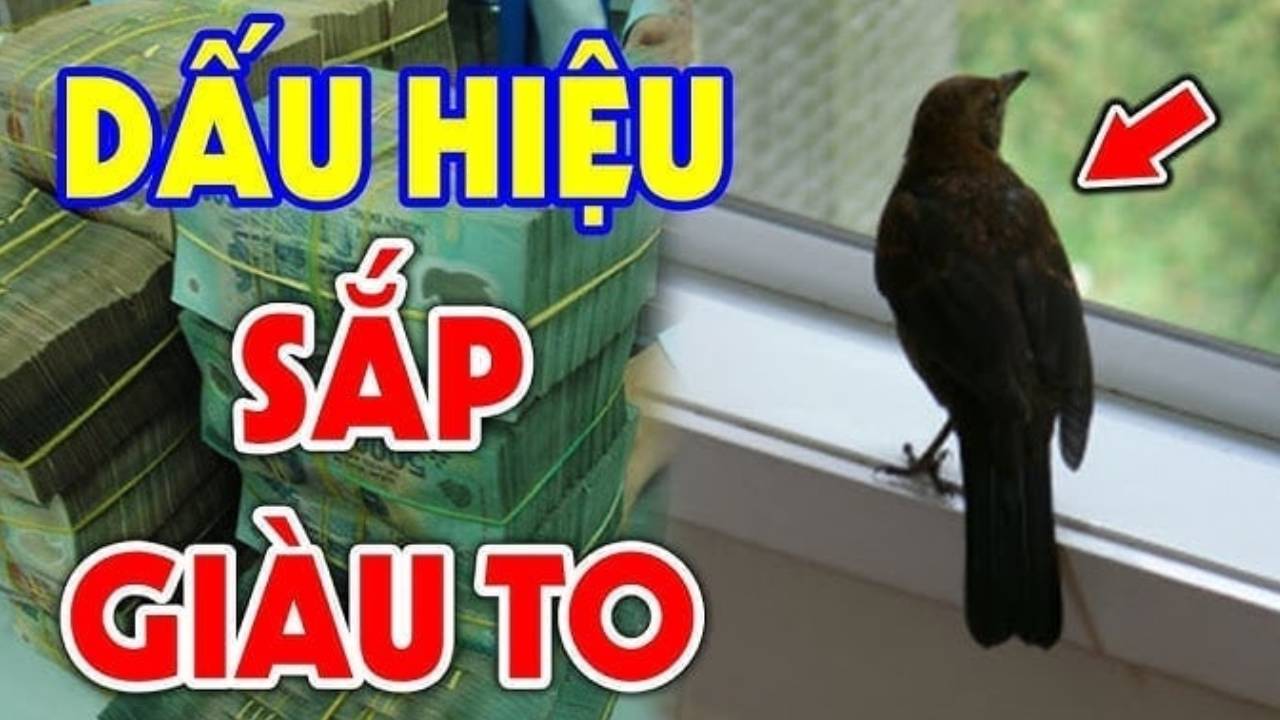 4 con vat duoc xem la de tu than tai vao nha nao tai loc keo den nha do 144553