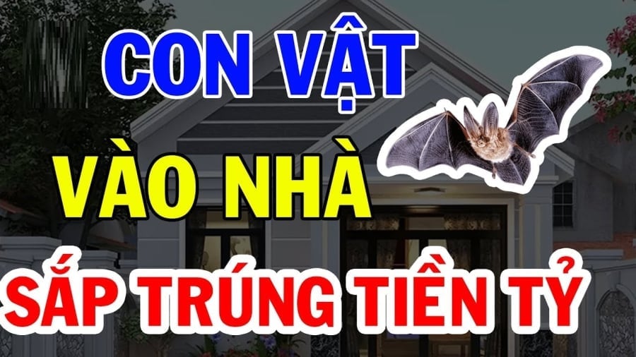 4 Con Vat Vao Nha Giau Co 121308