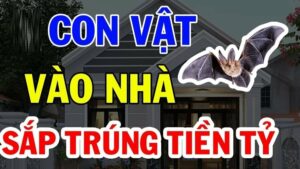 4 Con Vat Vao Nha Mang Theo Phuc Khi Dung Dai Duoi Di 101958
