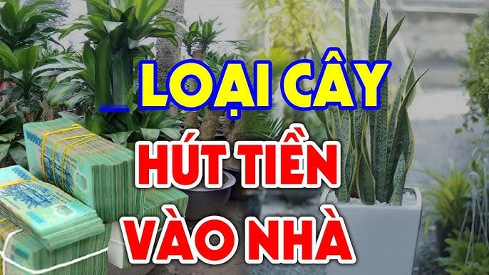 4 Loai Cay Hanh Thuy Tot Duong Lam An So 1 Nha Giau Chuong Nhat 075602