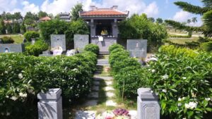 4 Loai Cay Khong Nen Trong Quanh Mo Phan To Tien Trong Sai Anh Huong Nghiem Trong Den Am Trach 22073