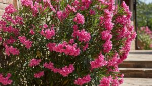 4 Loai Cay Tuong Dep Nhung Ruoc Xui Vao Nha Can Than Tien Bac Boc Hoi Khong Hay 163515