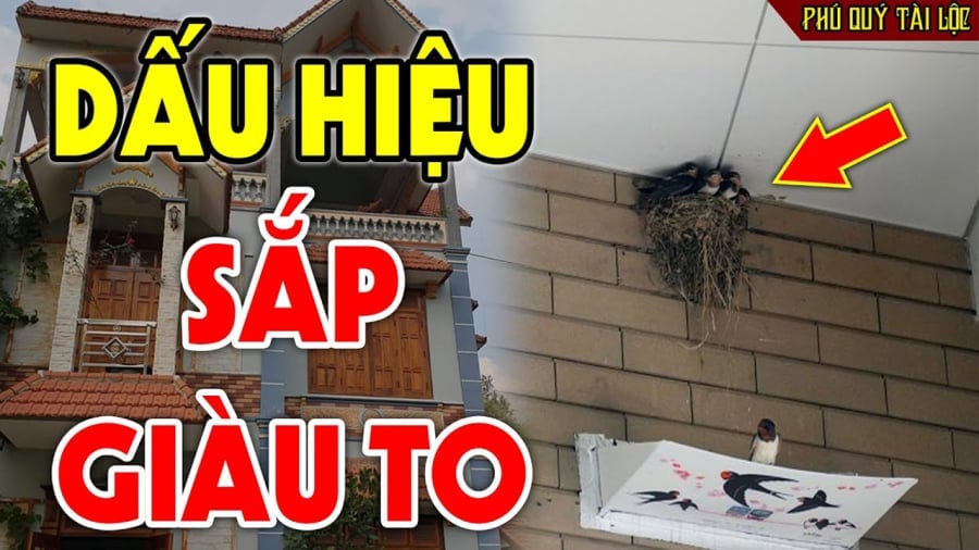 5 con vat may man cang o lau trong nha cang giau co 131934