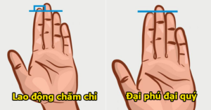 5 dau hieu tren long ban tay cua nguoi giau co phuc khi doi dao 090603