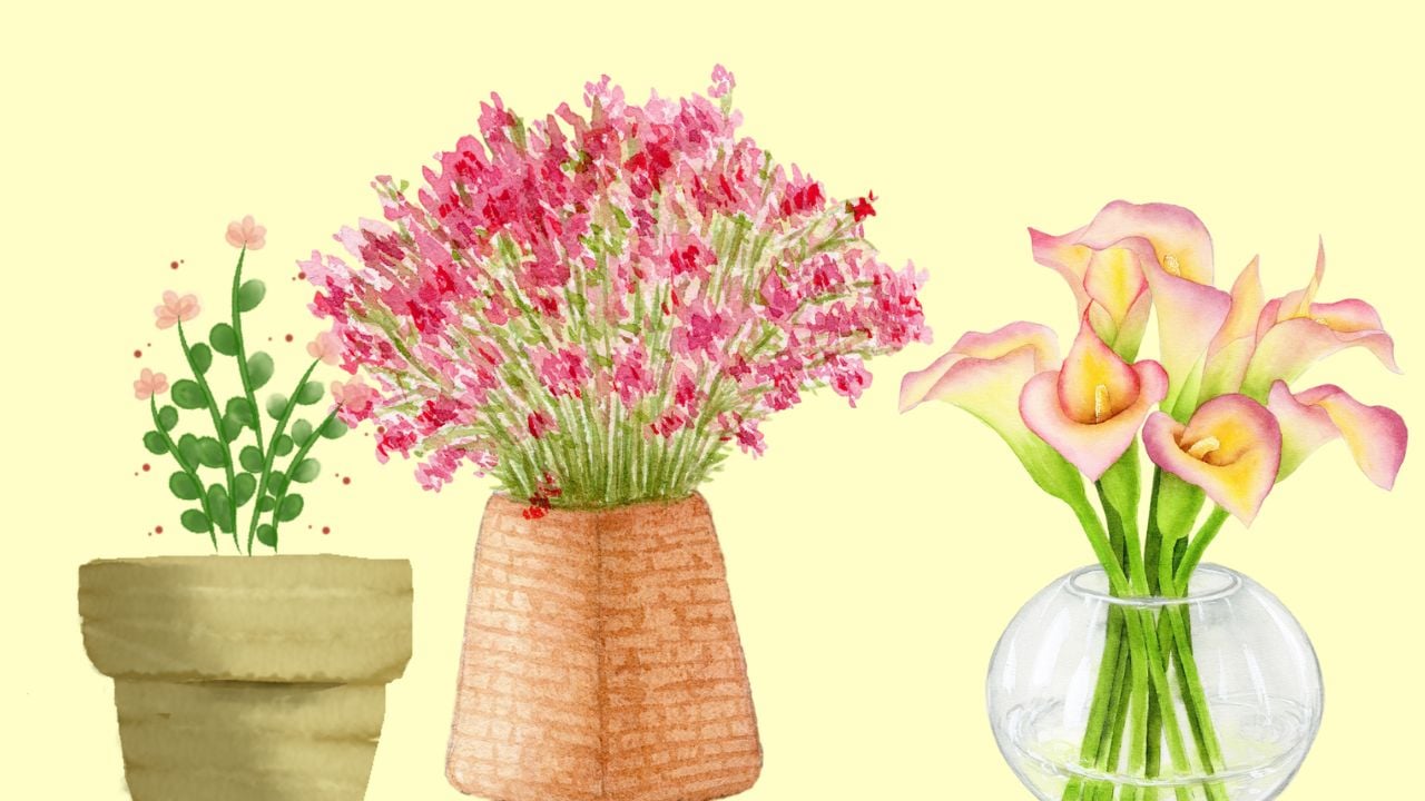 5 Kieu Binh Hoa Trong Nha Lam Ton Hai Phong Thuy Gay Hai Gia Chu Tranh Ngay Keo Lun Bai 112649