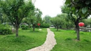 5 Vi Tri Vang Trong Nha Giup 9 10 Gia Dinh Phat Tai Hut Tai Loc Dinh Cao 160307