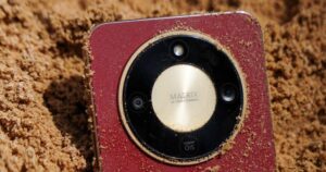 59226043113148977773339182887276482175910191N 388 0 1103 1365 Crop 17650219594131638189723