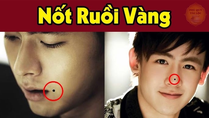 6 Not Ruoi May Man Hut Tien Tai Vao Nha 104554