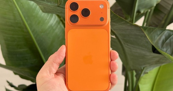 65962 138256 Img3643 Xl 0 72 738 1253 Crop 1764920923056776369862