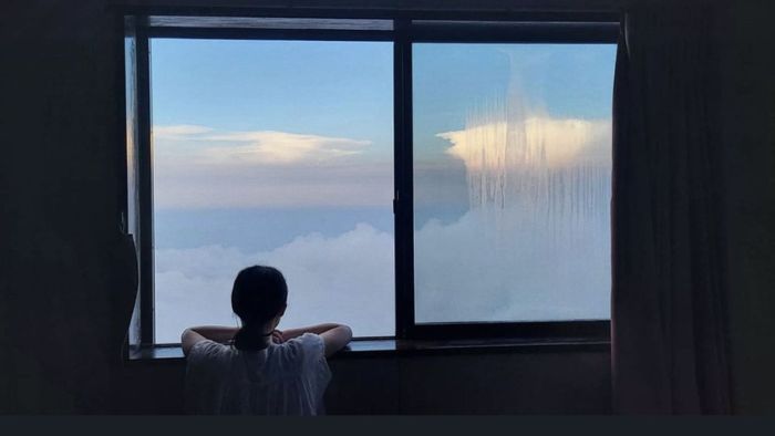 65Bd970Bc9E2Bd61392Ca2373B6C2B0D 14