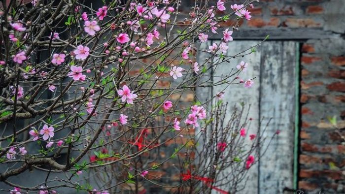 6B375E7C40E1E2F17C2359B19D452F0A 5