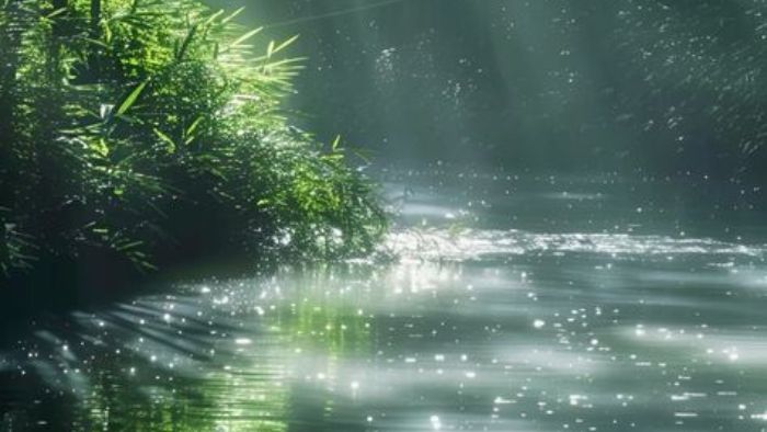 6D969845E5Bf8C6Bd166Fa1A85B15E62 18