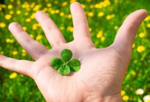 7 Dau Hieu Cho Thay Tien Bac Dang Do Ve Phia Ban Dung Bo Qua Co Hoi Vang Hiem Co Nay 234307