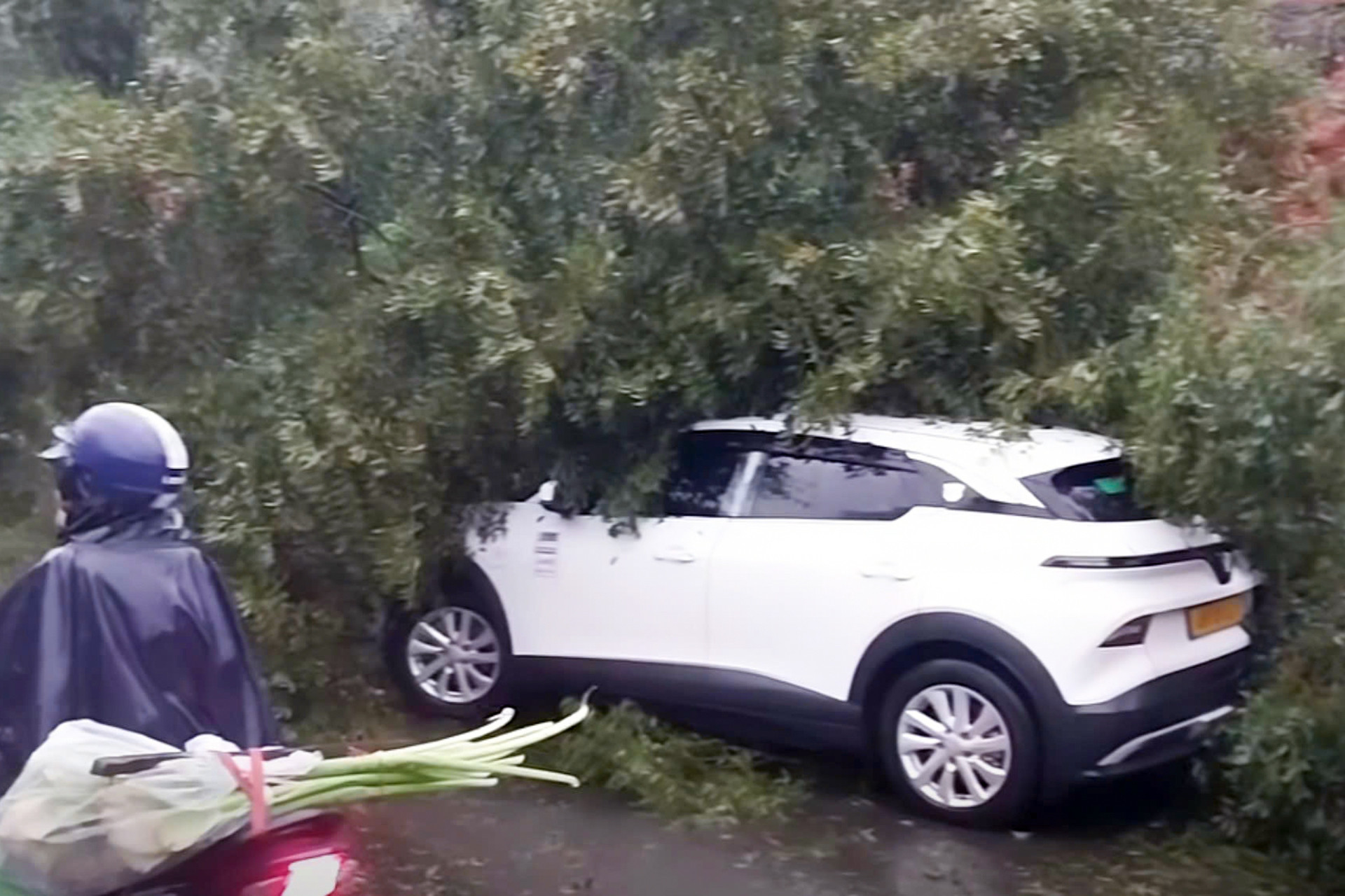 711Ad1Cd4421C87F9130 3175