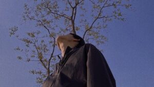 78Ccb17E2A61C806291Da5278B997195 15