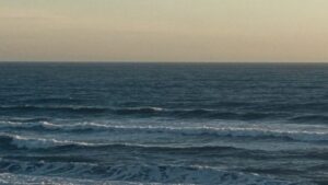 8C15Dbddaaa6E6B975Bcc8Ae348Cc438 7