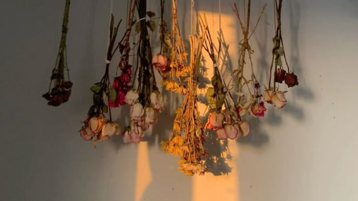 8E5A233A8B74Df47A7D16Ae81025Aac0 19