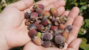 9B2Aec8Ccf9937076B420F92Bf62148E 19