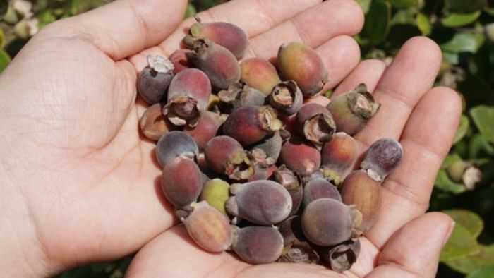 9B2Aec8Ccf9937076B420F92Bf62148E 19