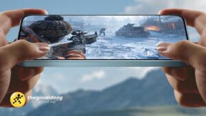 Chnb639005653246099298