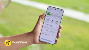 Gbvz639015587944206002