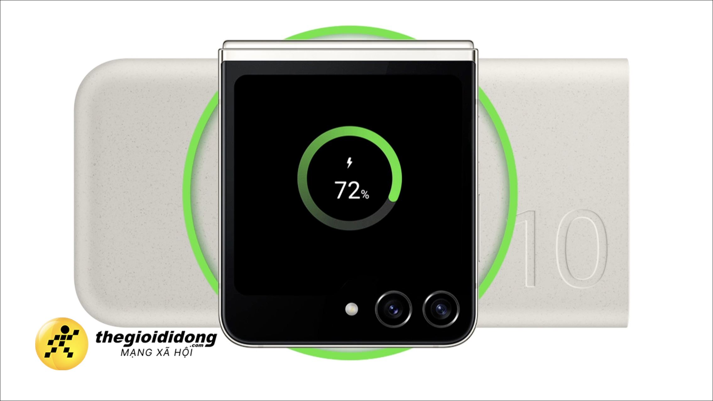 Gv2639008044938930739