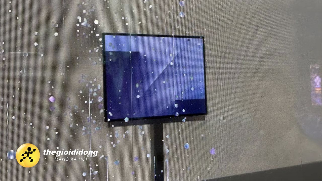 Gzt3638987109348201524