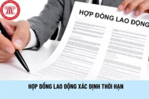 HDLD