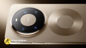 Hpt2638989747865443439