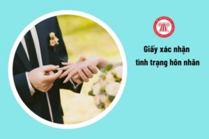 Hinh 4479