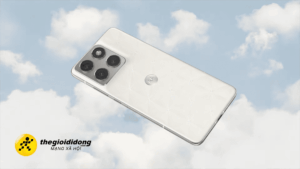 Motg639005463724368835