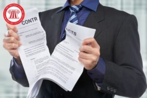 Nld Dieu Tri Tnld Lau Ngay