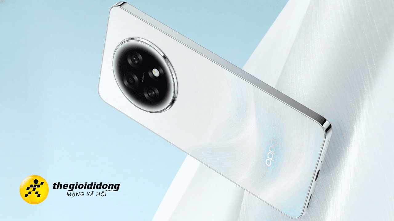 Oa61639008782926022708