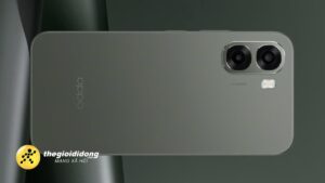 Oa6G1639007209651122553