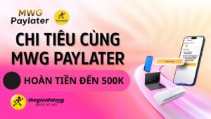 Paye639008030385015825