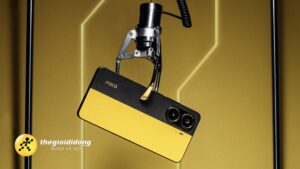 Pcv1638996000209847255