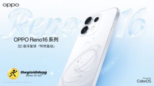 RENO1671639147949633512563