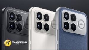 Rk971638995796480621069