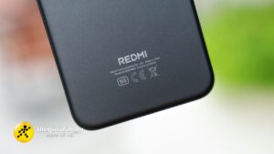 RMN16PP 2639099580459618445