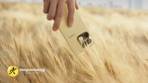 Rmxz1639015684700142366