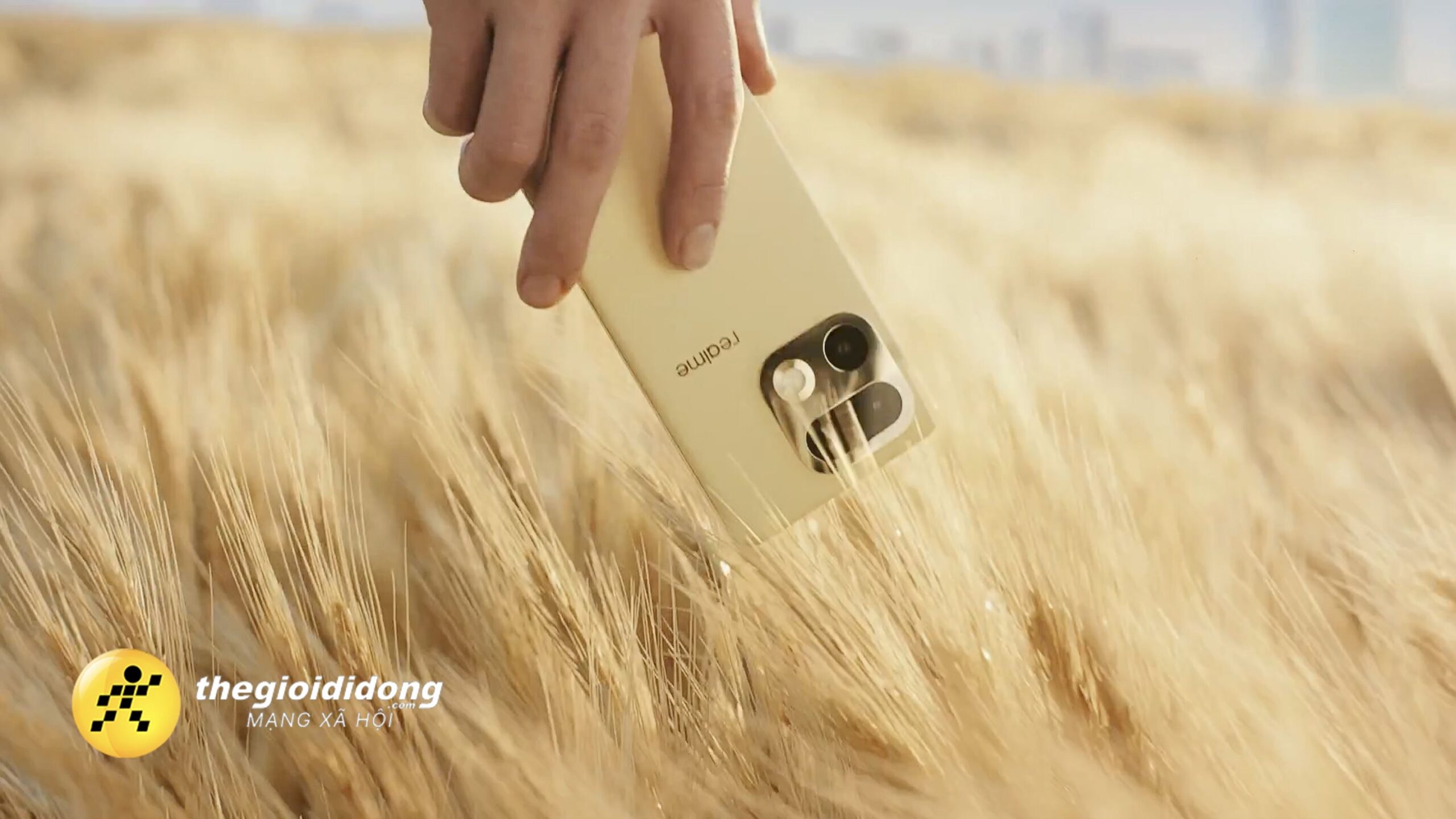 Rmxz1639015684700142366 Scaled